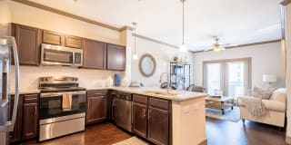 Larkspur at Twin Creeks - 55+ Senior Living Community Gallery 4
