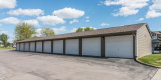 Prairie Tree Gallery 8