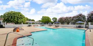 The Stella The Stella Gallery 4