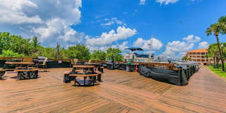 Culbreath Key Gallery 38
