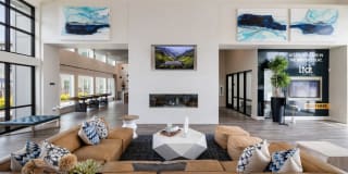 Ltd. Med Center Gallery 17