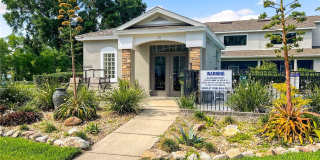 118 CHIPPENDALE TERRACE Gallery 24