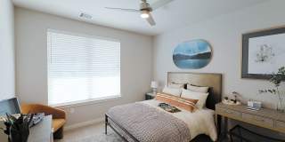 Lucent Gallery 9