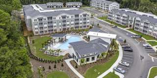 Waterleaf at Salt Creek Gallery 30