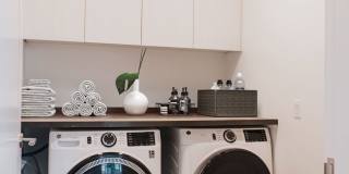 Ren Gallery 27