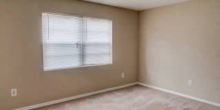 Hibiscus Place Gallery 5