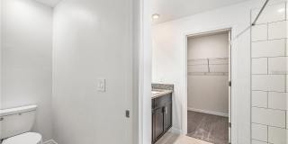 2871 SILVER SCALLOP Loop Gallery 9