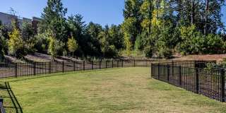 Holly Springs Gallery 27