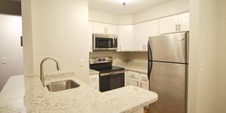 6920 MARY CAROLINE Circle Gallery 1