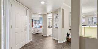 Vetra Chandler Gallery 30