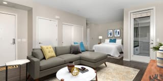 The Lex The Lex Gallery 14