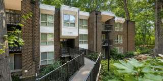 The Forest Apartments Gallery 35