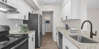 The Park at Veneto Gallery 5