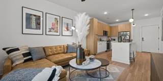 The Scottie Gallery 7