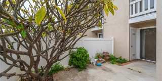 263 Tarocco Gallery 26