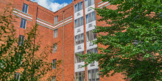 Sagamore Hills Gallery 4