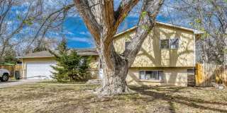 Spacious Cul-de-Sac Home Near CSU Gallery 4