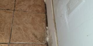 1185 E 167th Gallery 1