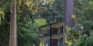 Cliffside Apartments Gallery 41