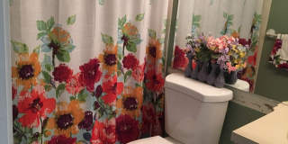 Adorable 2 bed/2 bath home in Southwest Longmont! Gallery 26