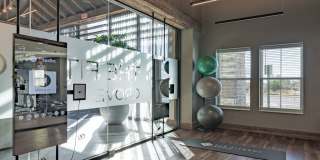 Fitzroy Grove Gallery 22