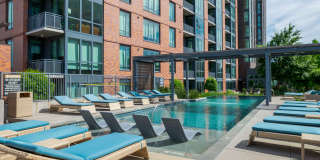 Aster Aster Gallery 5