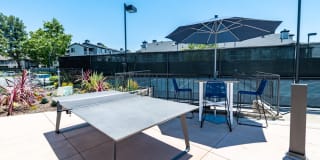 Aliso Creek Gallery 13