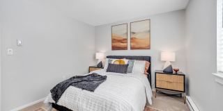 The Meadows Gallery 36