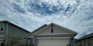 2775 REDDISH EGRET Bend Gallery 1