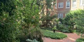 41 Linnaean Street Gallery 2