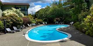 Beautiful 2 bed, 2 bath Shoreline Condo, $2400/mo. Beautiful 2 bed, 2 bath Shoreline Condo, $2400/mo. Gallery 15