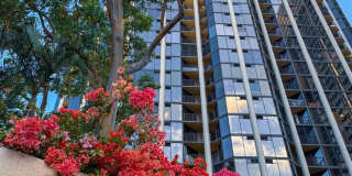 60 North Beretania Street Gallery 1