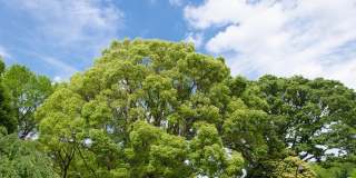 Riverwalk Gallery 10