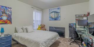 2831 Lavender Gallery 12