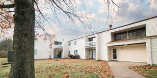 Sylvan Ridge Gallery 1