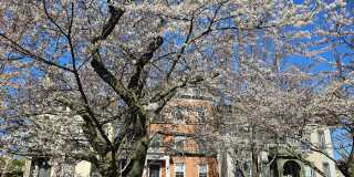 40 Academy Street Gallery 12