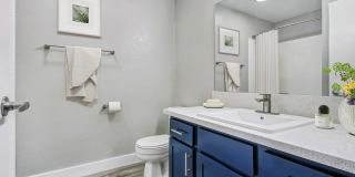 Fifty-Seven 95 Flamingo Gallery 8