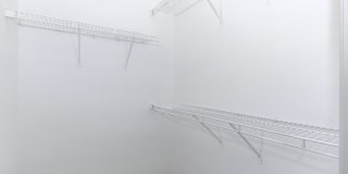 Gravity at 255 Gallery 64