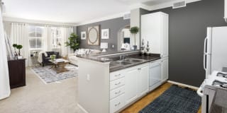 Parc Chateaux Gallery 11