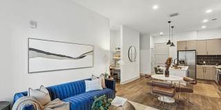 The Devon Gallery 24
