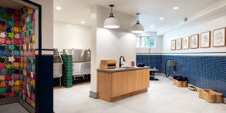 The Hadley Apartments Gallery 12