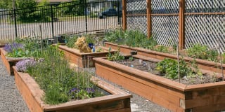 Jesse Quinn Apartments Gallery 4