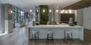 Maizon Brickell Gallery 31