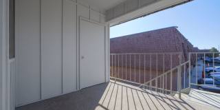 Meadowlark Gallery 27