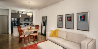 Echo Gallery 7