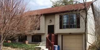 Available August 4th, 2026! Gallery 1