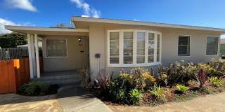 86-90joanne Gallery 1