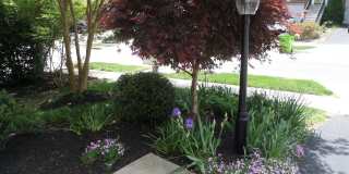 43762 LEES MILL Square Gallery 43