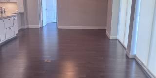 450 Knights Run Ave Unit 904 Gallery 12