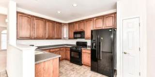 21759 LADYSLIPPER Square Gallery 12